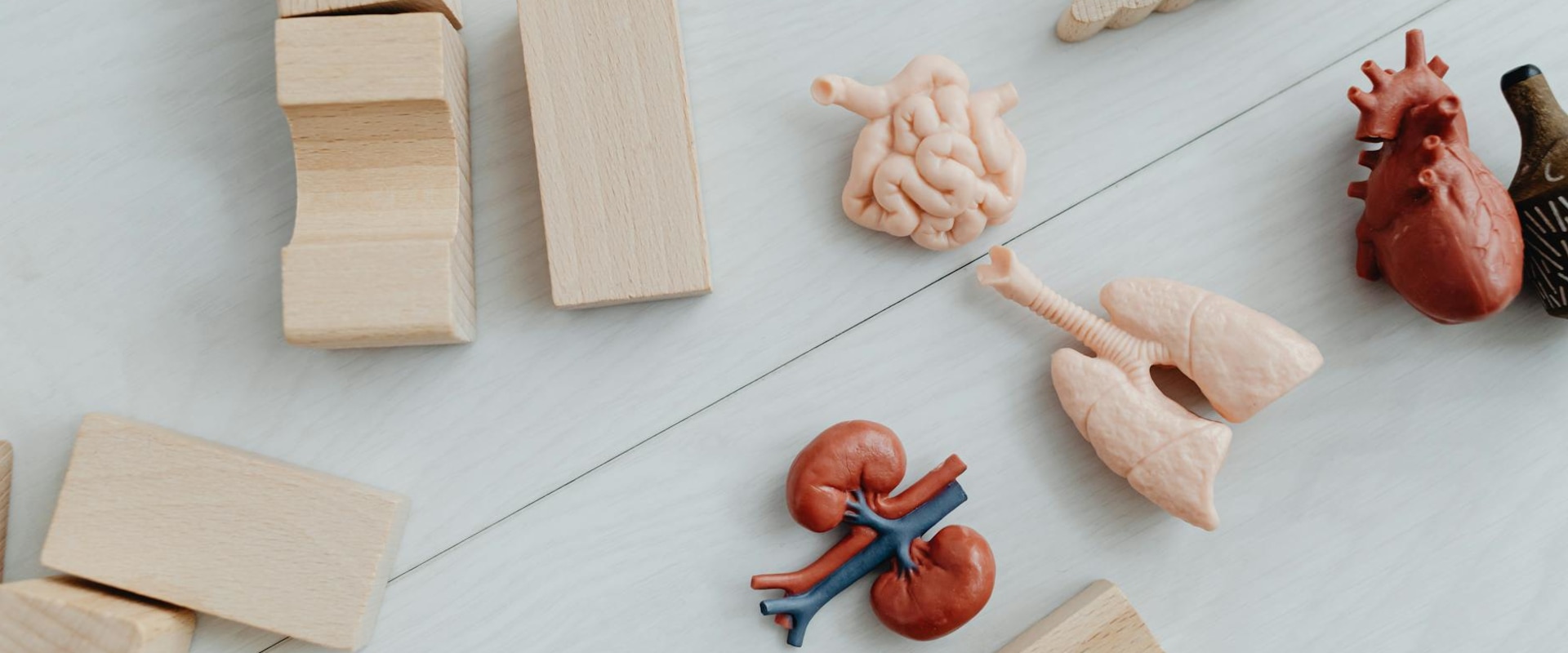 Understanding Legal Rights of Non-Biological Parents in Family Relations Law