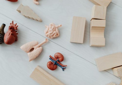 Understanding Legal Rights of Non-Biological Parents in Family Relations Law